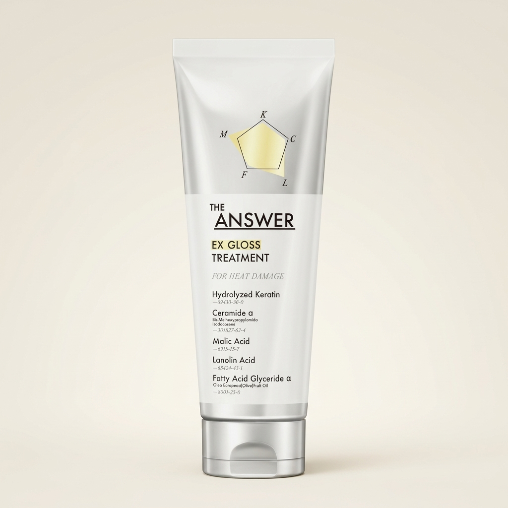 THE ANSWER EX Gloss Treatment 220g sleek professional tube, Japanese high-gloss protein-repair and light-reflecting hair mask