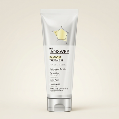 THE ANSWER EX Gloss Treatment 220g sleek professional tube, Japanese high-gloss protein-repair and light-reflecting hair mask